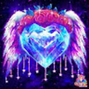 Meet your Posher, Dakota